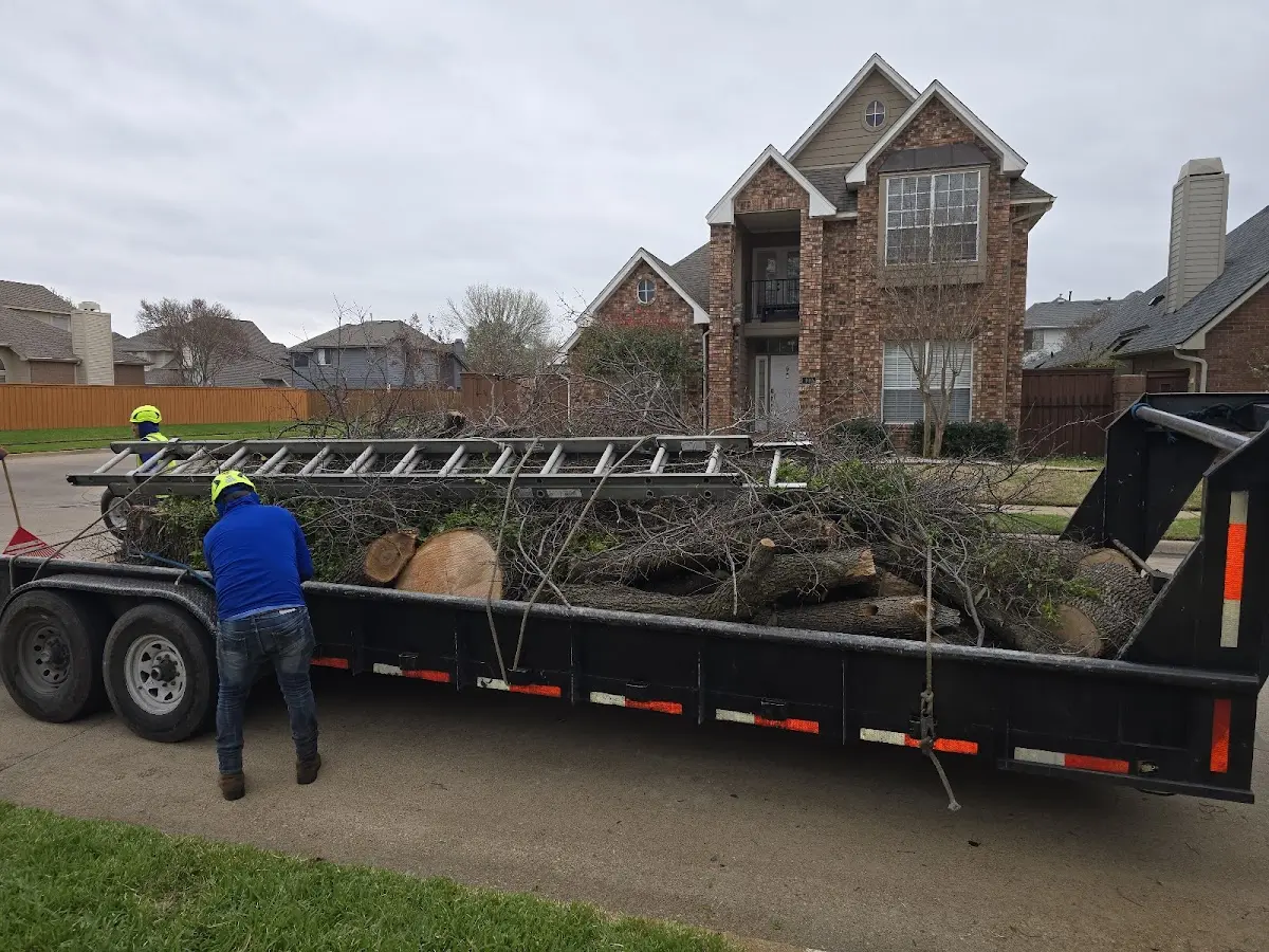 Expert Tree Pest Control with proper safety equipment in Eldred